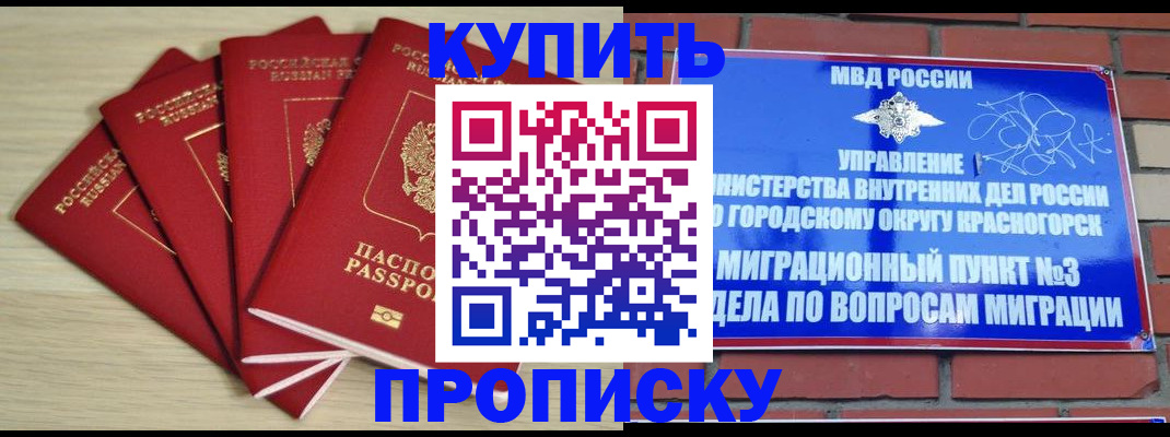 временная регистрация для всех в Палласовке